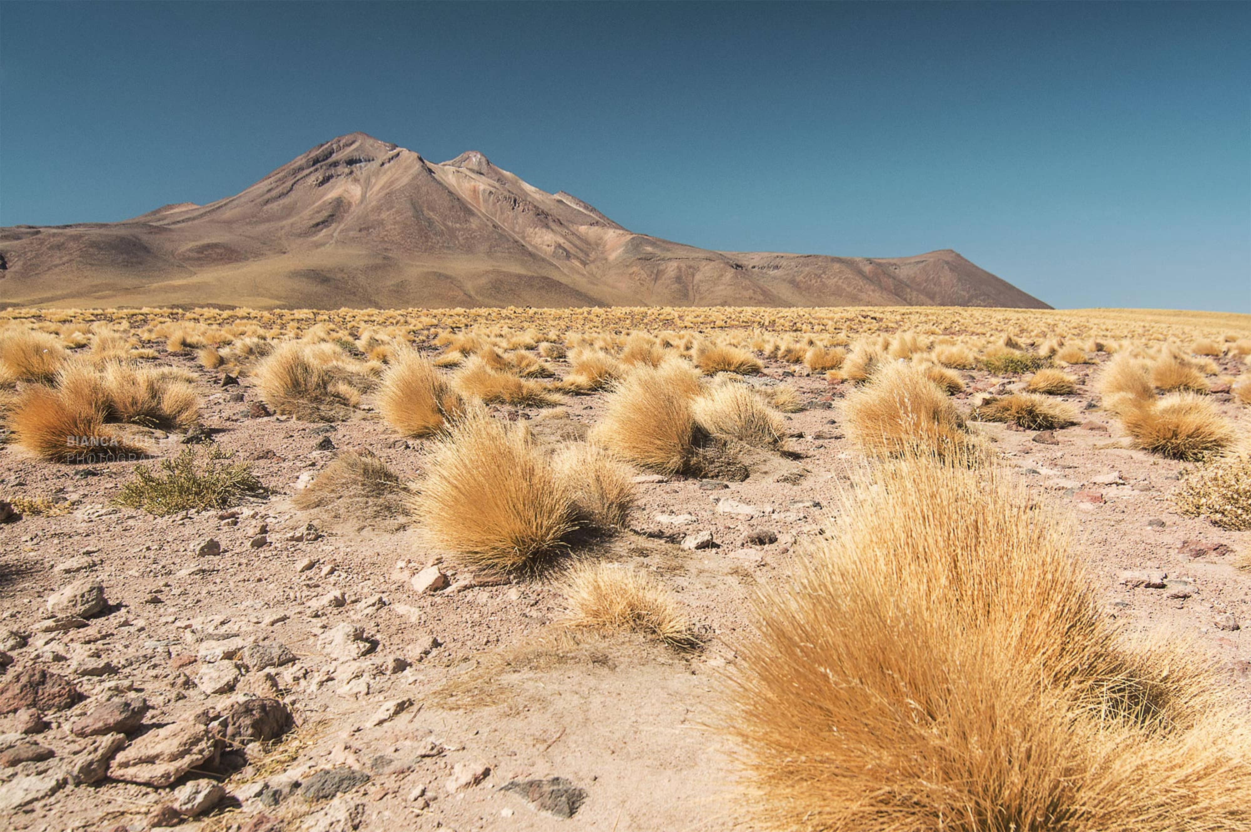 Paja Brava and Volcanic Peaks