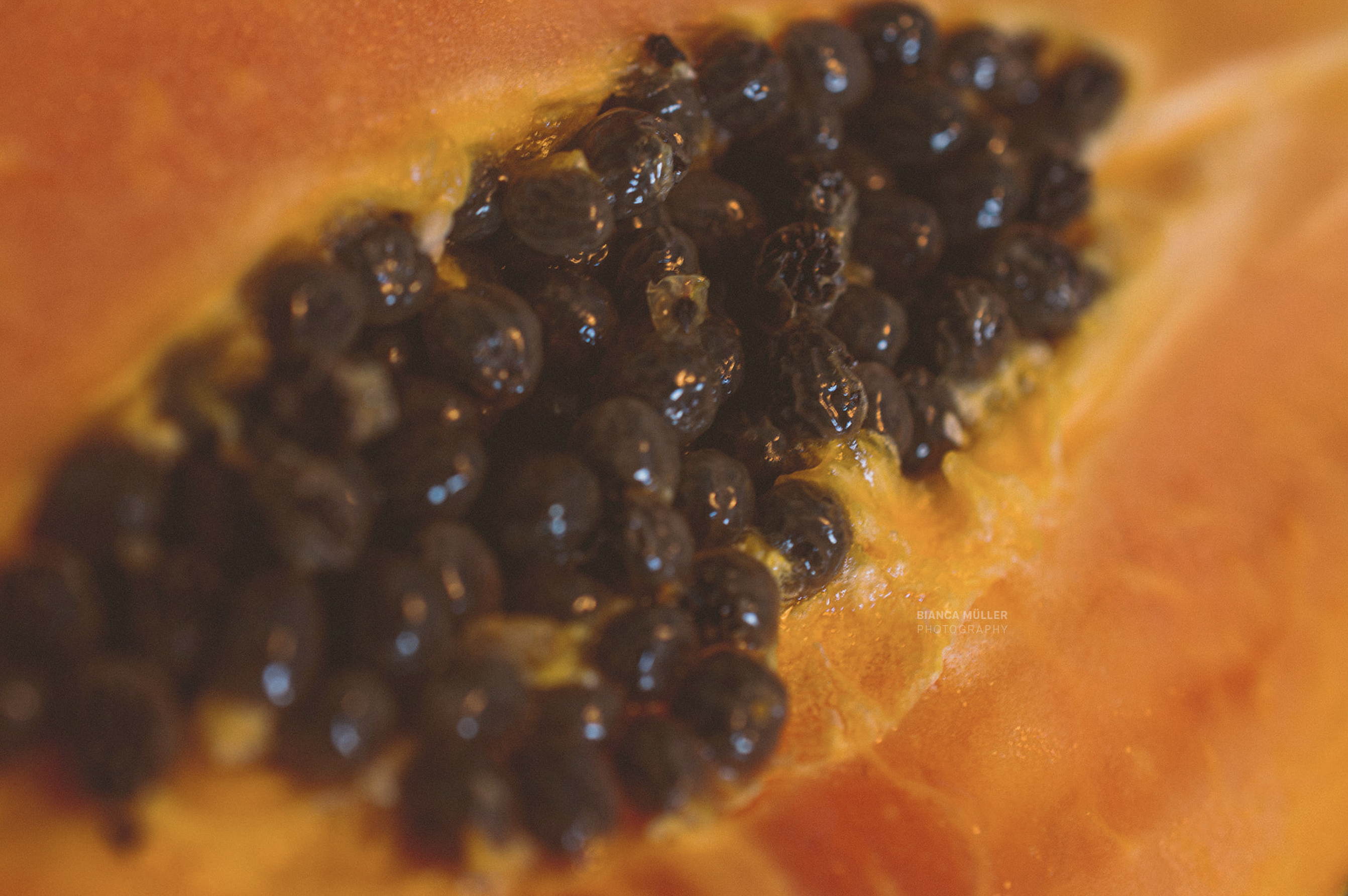 papaya-from-brazil-cheap-is-not